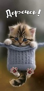Конверты для денег, Держись! (котенок), 10 шт.